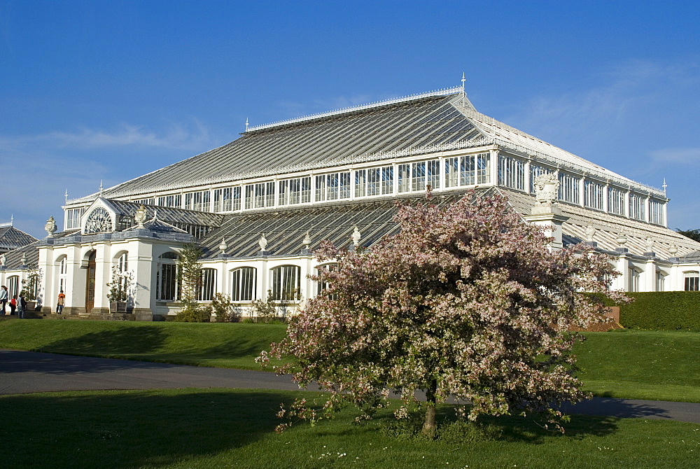 Temperate House, Royal Botanic Gardens (Kew Gardens), UNESCO World Heritage Site, Kew, Greater London, England, United Kingdom, Europe