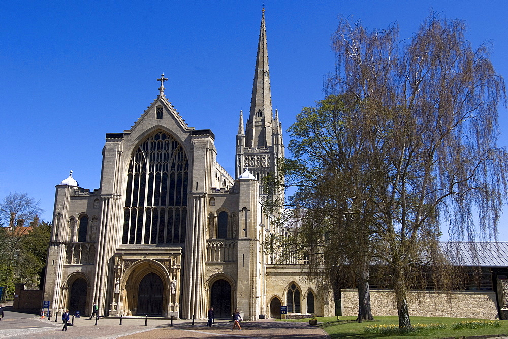 Norwich Cathedral, Norwich, Norfolk, England, United Kingdom, Europe