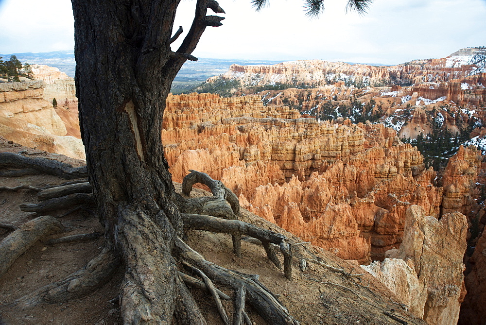 Bryce Canyon National Park, Utah, United States of America, North America