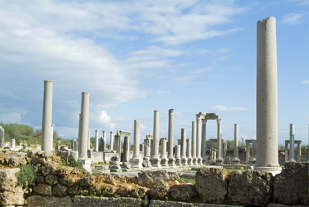 Roman ruins, Perge, Anatolia, Turkey, Asia Minor, Eurasia