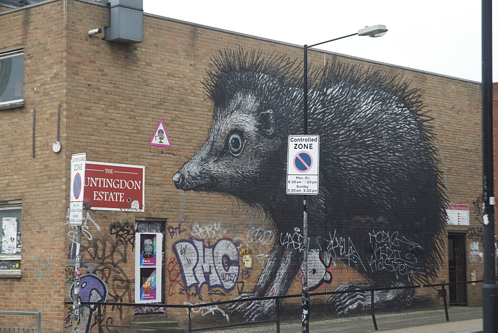 Hedgehog by Roa, Chance Street, London, E1, England, United Kingdom, Europe