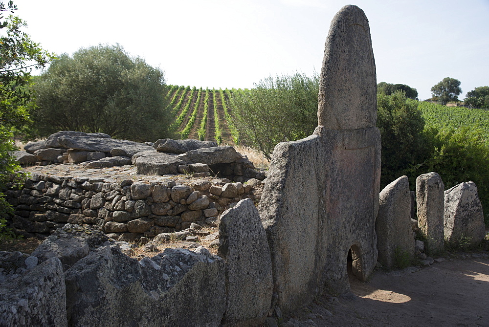 Coddhu Vecchju (Tomba di Giganti), a megalithic Sardinian gallery grave, near Arzachena, Sardinia, Italy, Europe