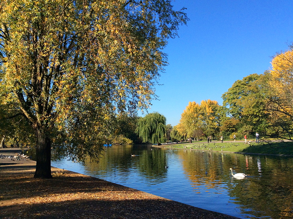 Regent's Park in the autumn, London, England, United Kingdom, Europe