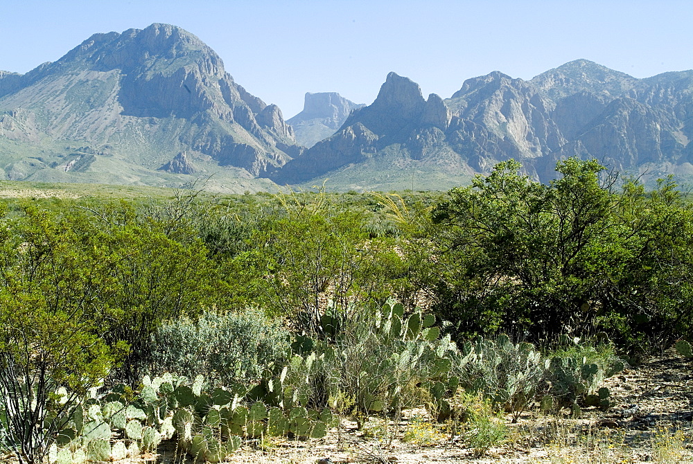 Big Bend National Park, Texas, United States of America, North America