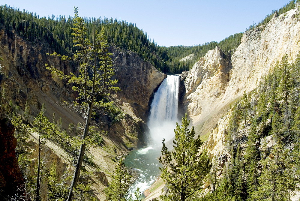 Yellowstone Canyon, Yellowstone National Park, UNESCO World Heritage Site, Wyoming, United States of America, North America