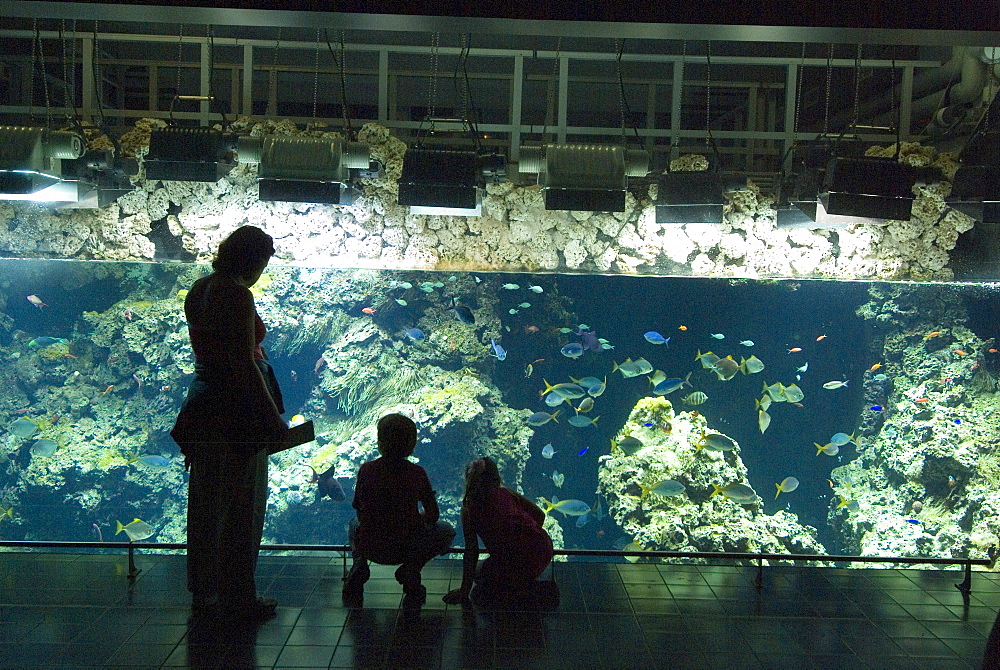 Aquarium, Oceanographic Institute, Monaco-Veille, Monaco, Europe 