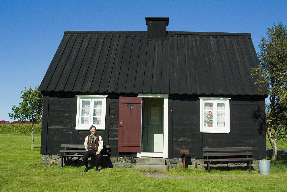 Arbaejarsafn Open Air Museum of traditional housing throughout Iceland, Ellidaar Valley, Reykjavik, Iceland, Polar Regions