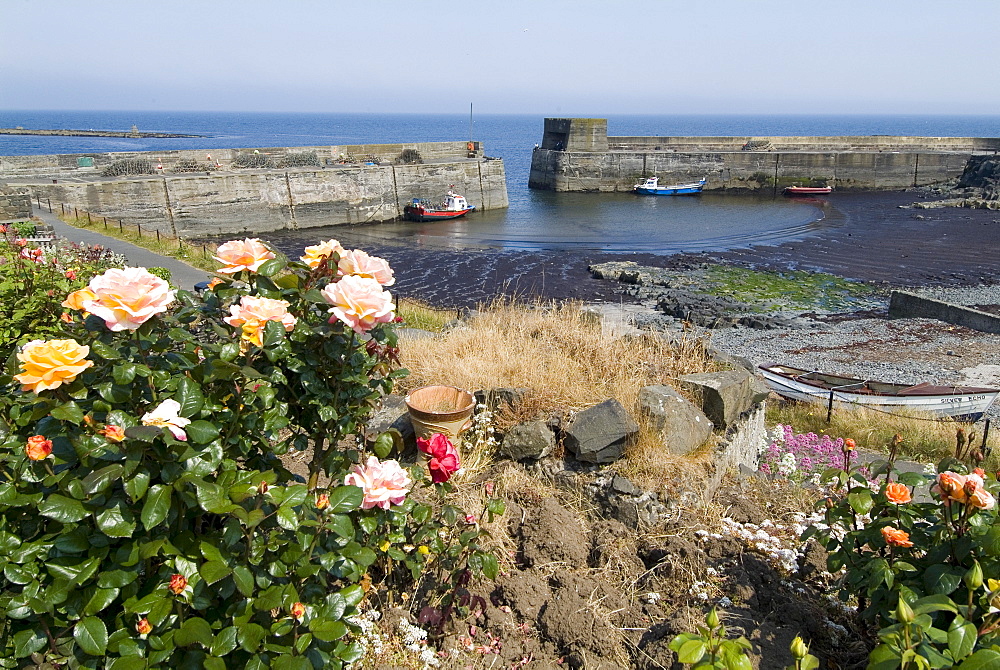 Craster fishing village, Northumberland, England, United Kingdom, Europe