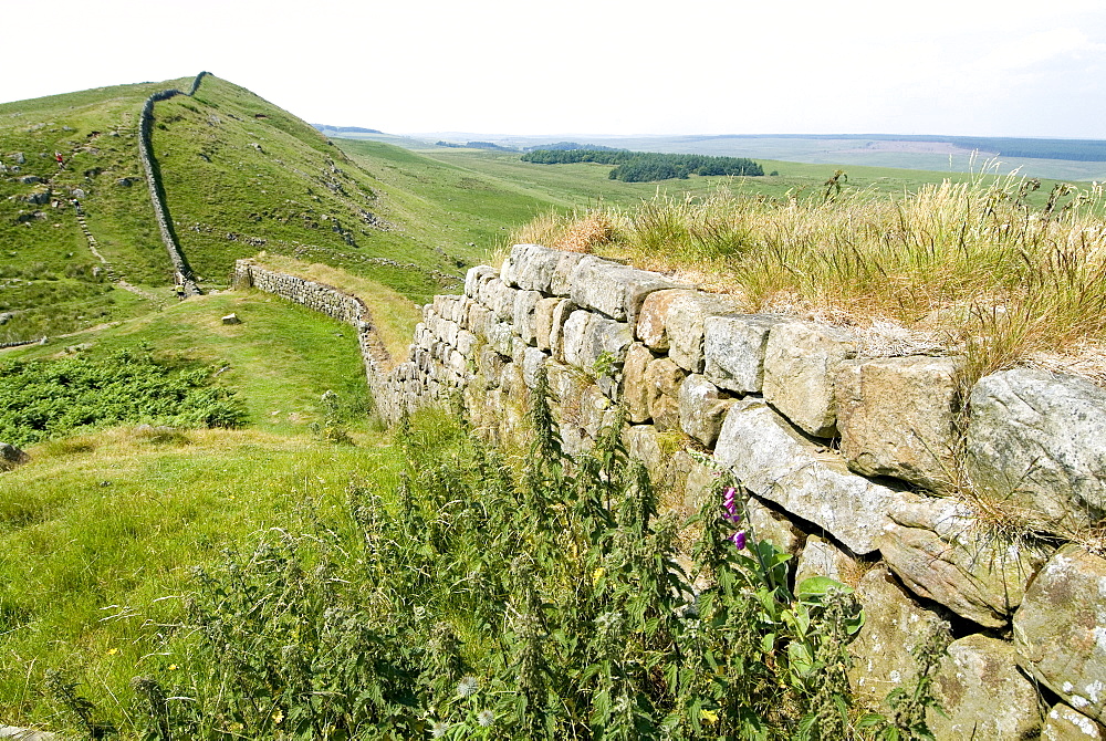 Hadrian's Wall, near Housesteads, UNESCO World Heritage Site, Northumberland, England, United Kingdom, Europe