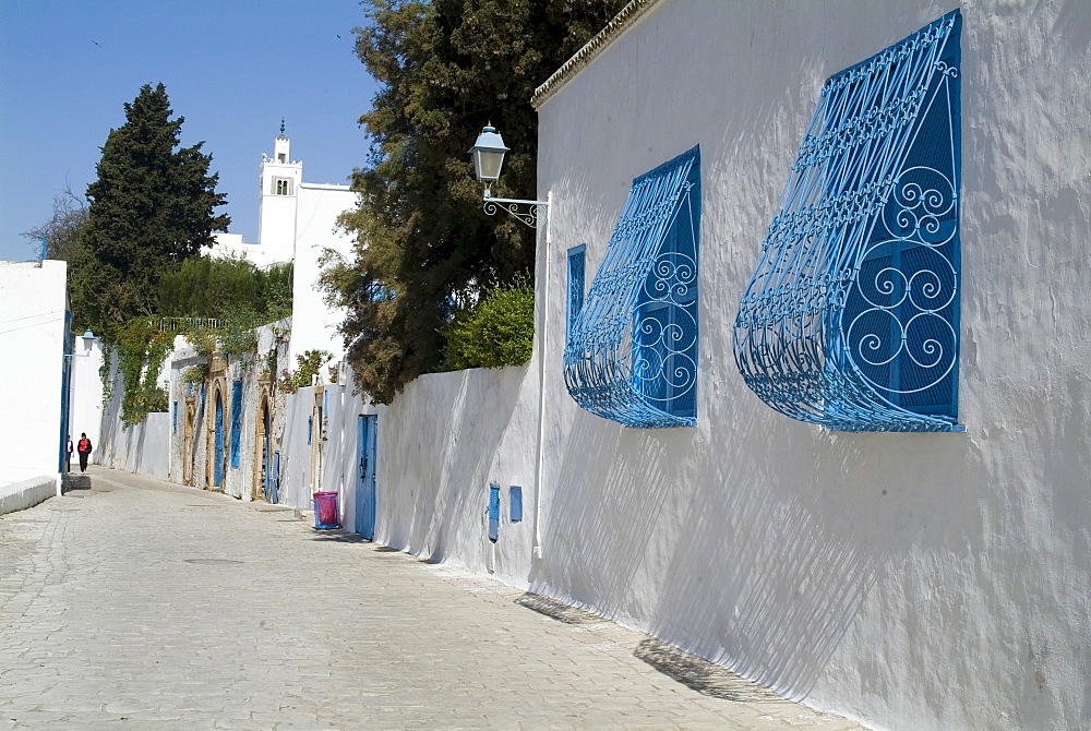 Sidi Bou Said, Tunisia, North Africa, Africa