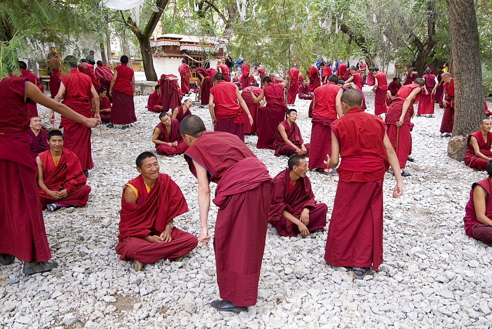 Monks learning session, with masters and students, Sera Monastery, Tibet, China, Asia