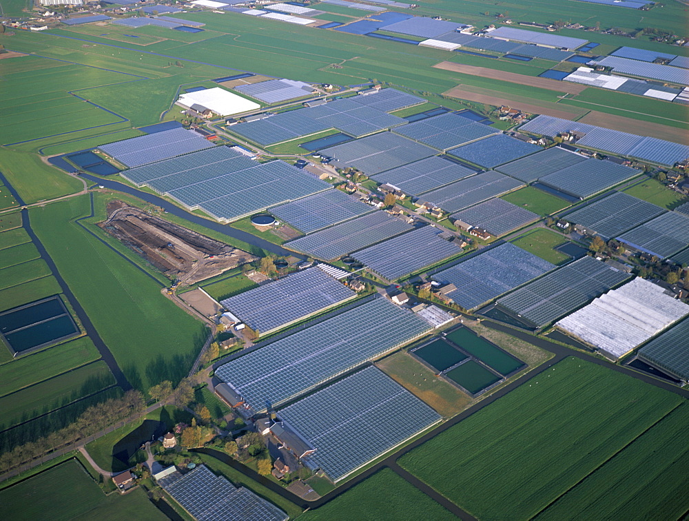 Aerial view of greenhouses, Rotterdam, The Netherlands (Holland), Europe