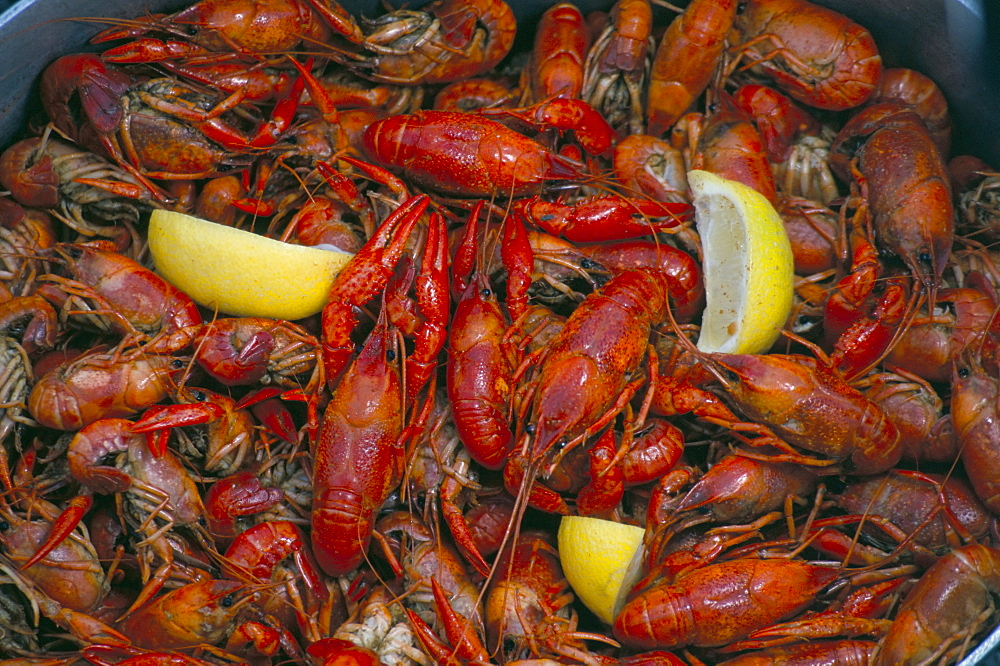 Boiled crawfish, Cajun food, Cajun country, Louisiana, United States of America, North America