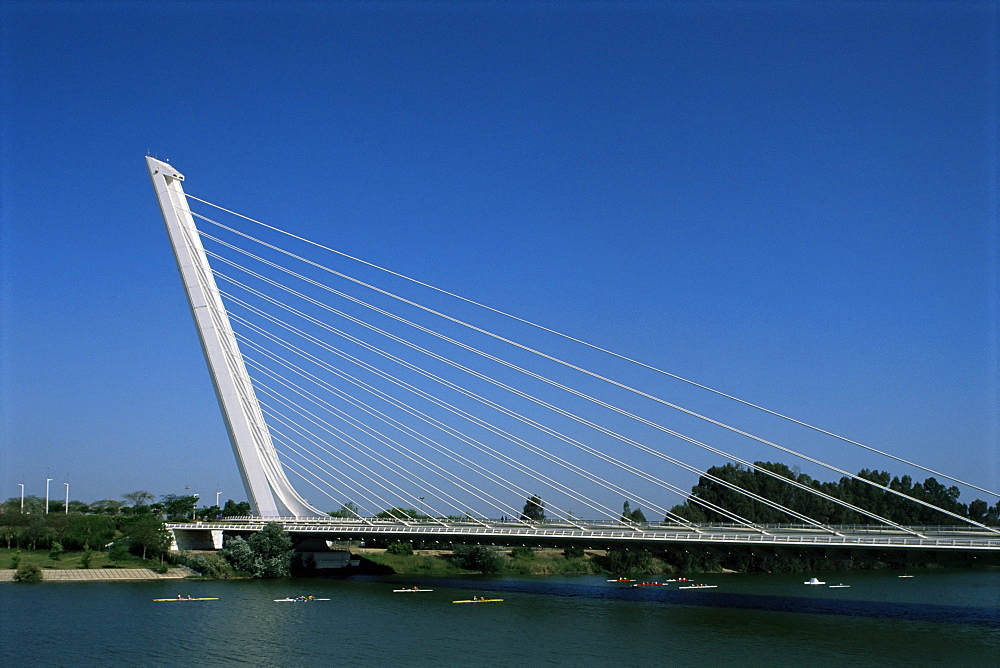 Alamillo Bridge, La Cartuja island, Seville, Andalucia, Spain, Europe