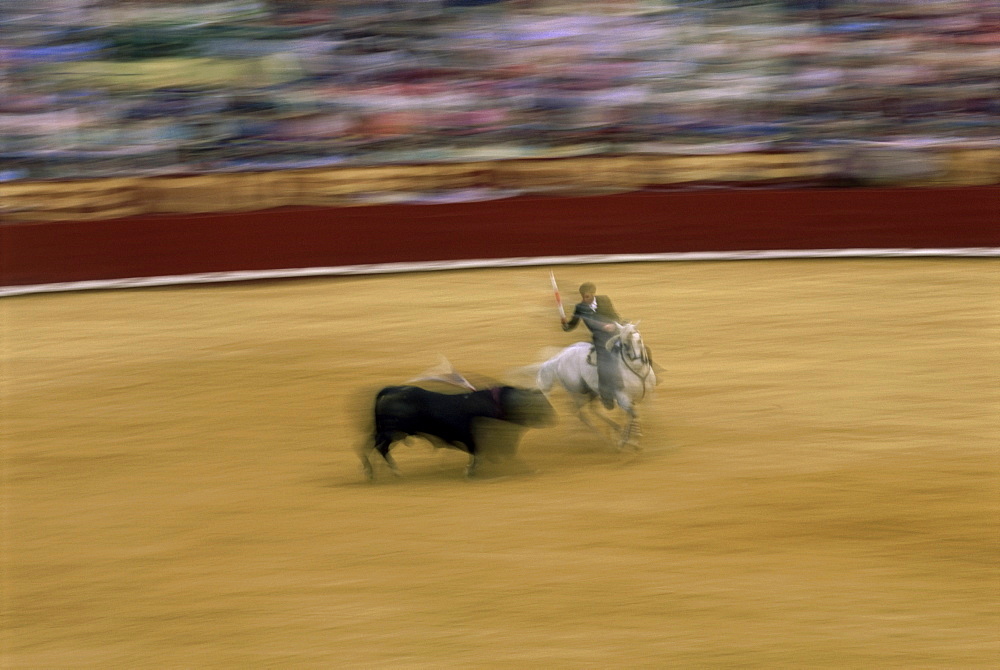 Bullfighting, Seville, Andalucia, Spain, Europe