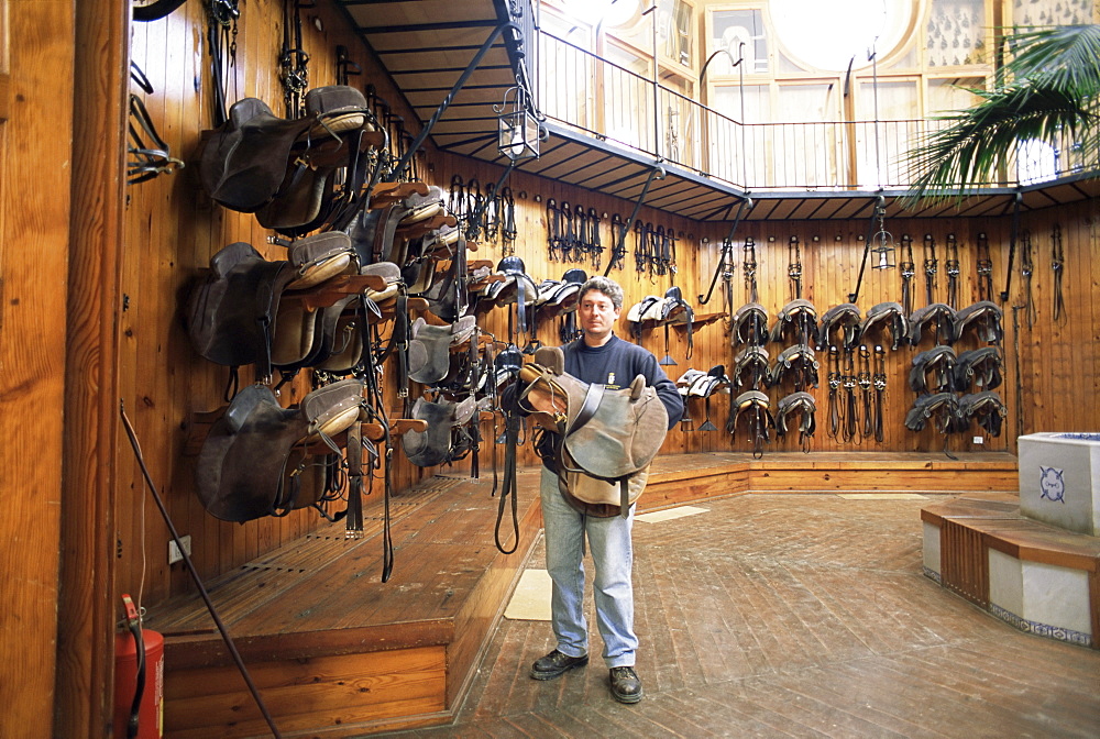 Saddlemaker, Jerez de la Frontera, Andalucia, Spain, Europe