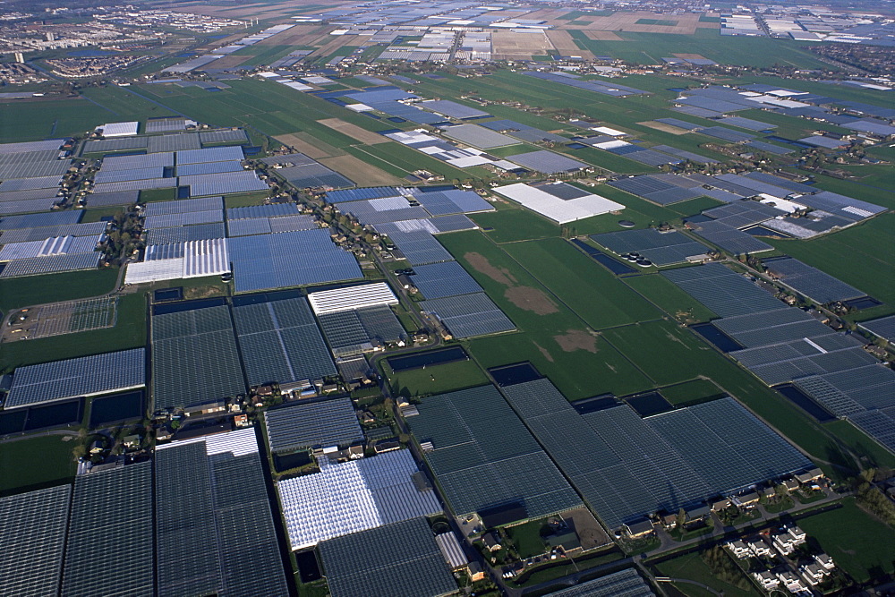 Aerial view of glasshouses, Rotterdam, Holland, Europe