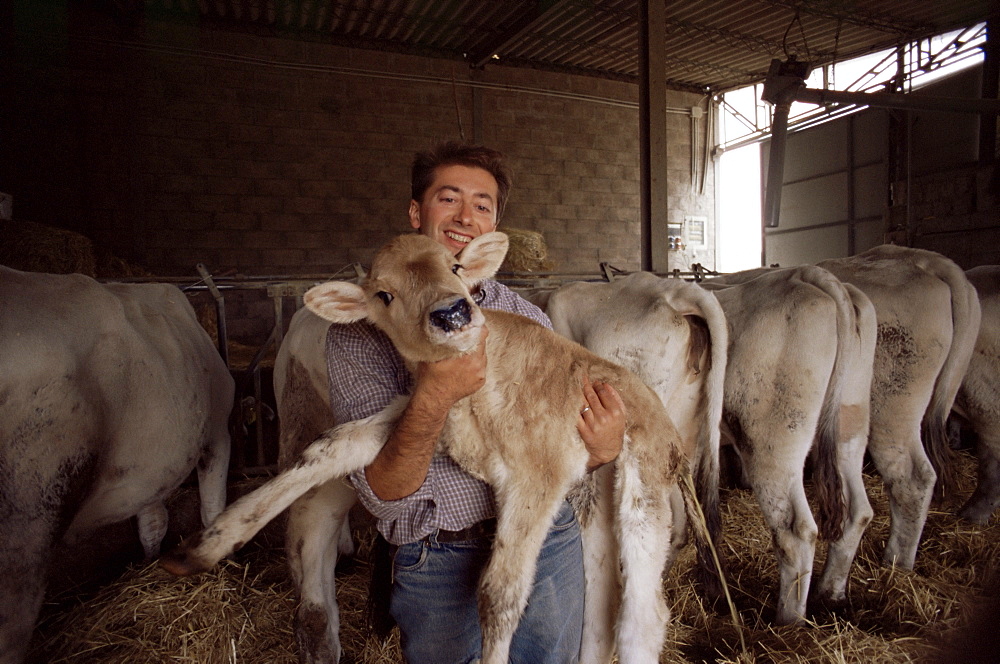 Farmer holding calf in cowshed