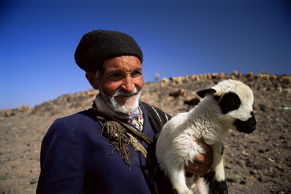 Portrait of a shepherd and a lamb, Atlas Mountains, Morocco, North Africa, Africa