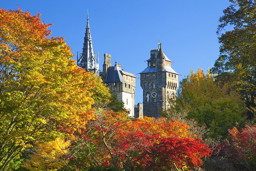 Cardiff Castle, Bute Park, South Wales, Wales, United Kingdom, Europe