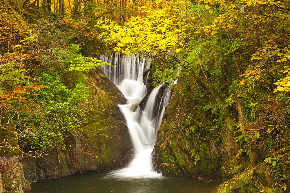 Furnace Falls, Furnace, Dyfed, Wales, United Kingdom, Europe