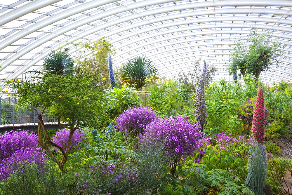 National Botanic Garden of Wales, Llanarthne, Carmarthenshire, Wales, United Kingdom, Europe