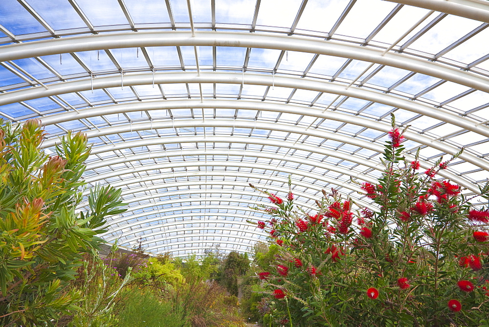 National Botanic Garden of Wales, Llanarthne, Carmarthenshire, Wales, United Kingdom, Europe