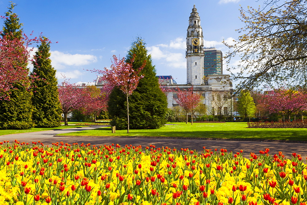 City Hall, Alexandra Gardens, Cathays Park, Cardiff, Wales, United Kingdom, Europe