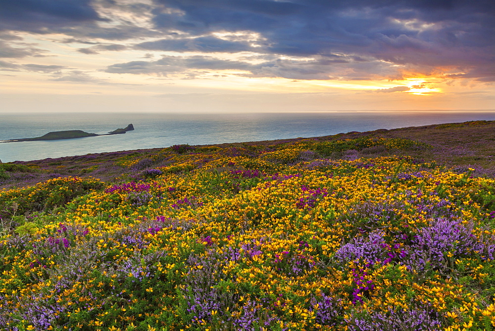 Rhossili Bay, Worms End, Gower Peninsula, Wales, United Kingdom, Europe