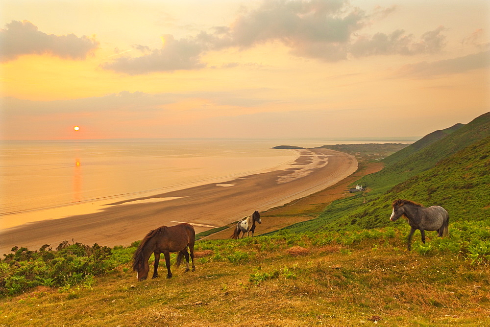 Rhossili Bay, Gower Peninsula, Wales, United Kingdom, Europe