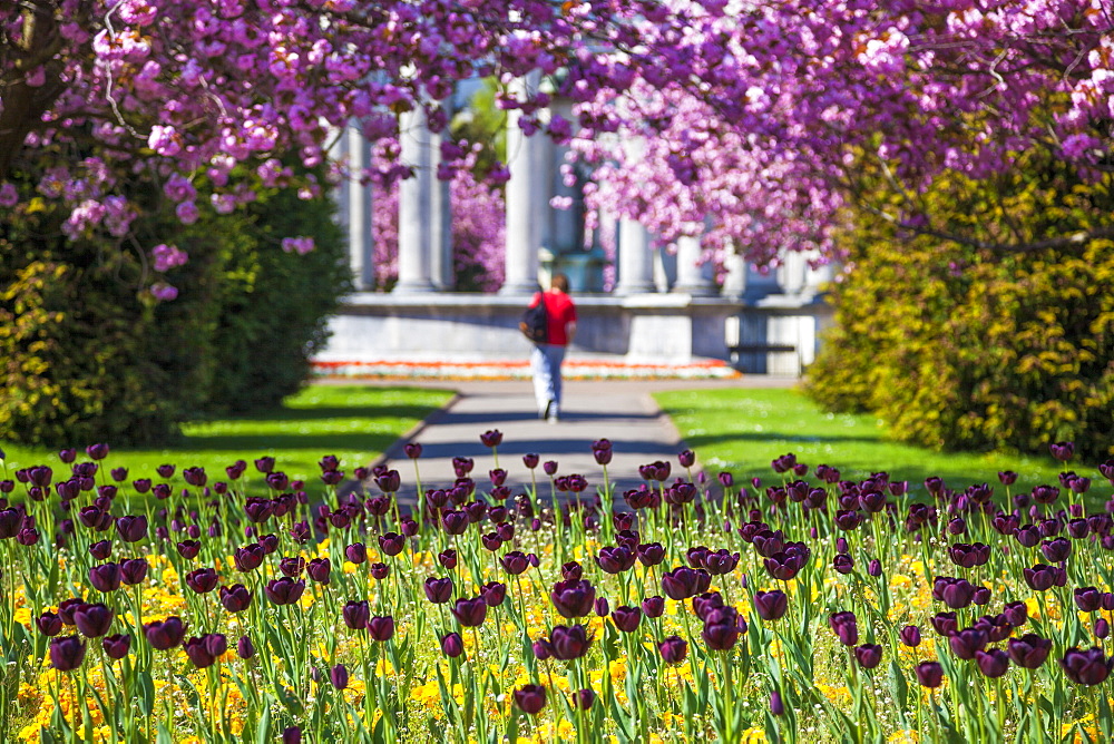 Alexandra Gardens, Cardiff, Wales, United Kingdom, Europe