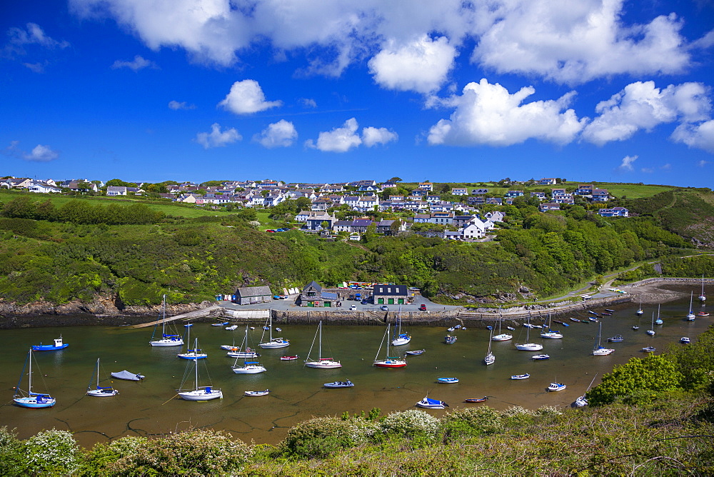 Solva Harbour, Pembrokeshire, Wales, United Kingdom, Europe