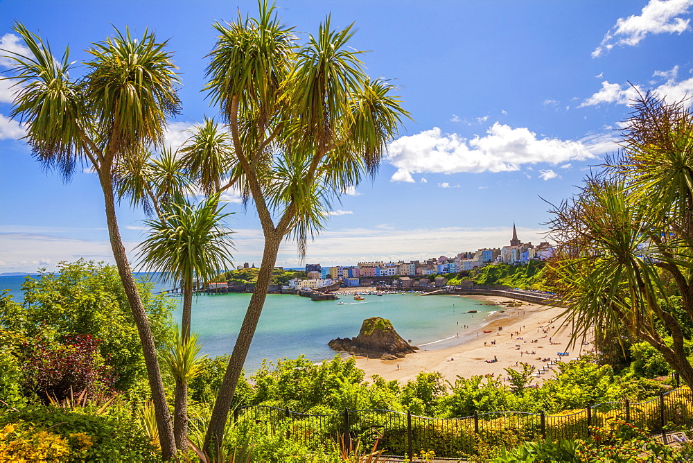 Tenby, Pembrokeshire, Wales, United Kingdom, Europe