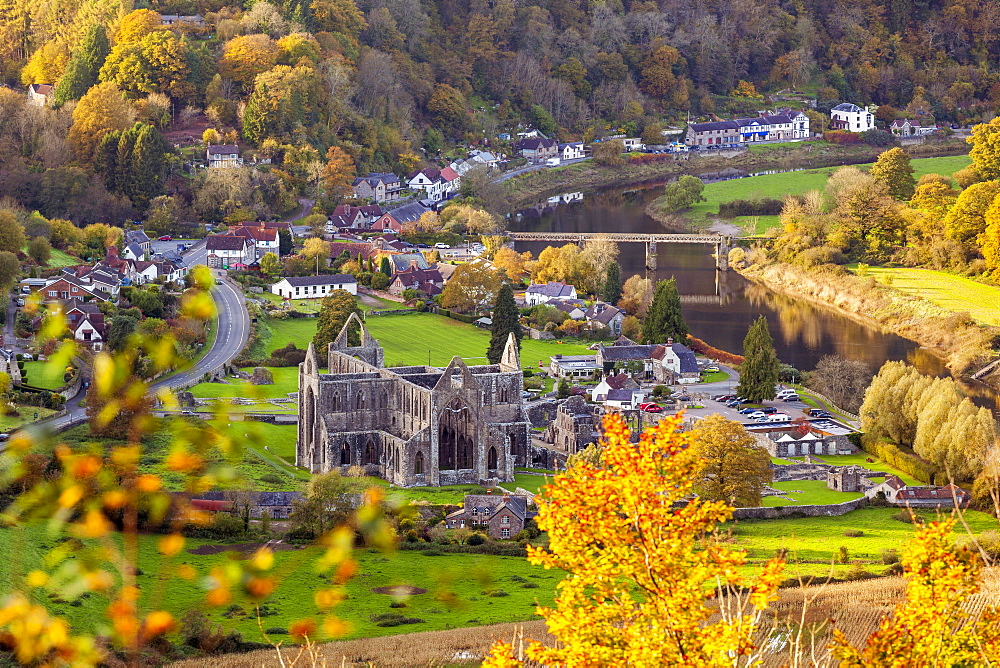 Tintern Abbey, Wye Valley, Monmouthshire, Wales, United Kingdom, Europe