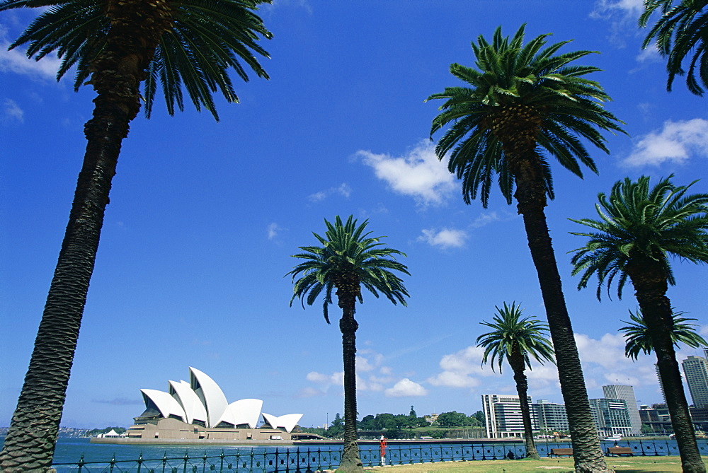 Sydney Opera House, Sydney, New South Wales, Australia, Pacific