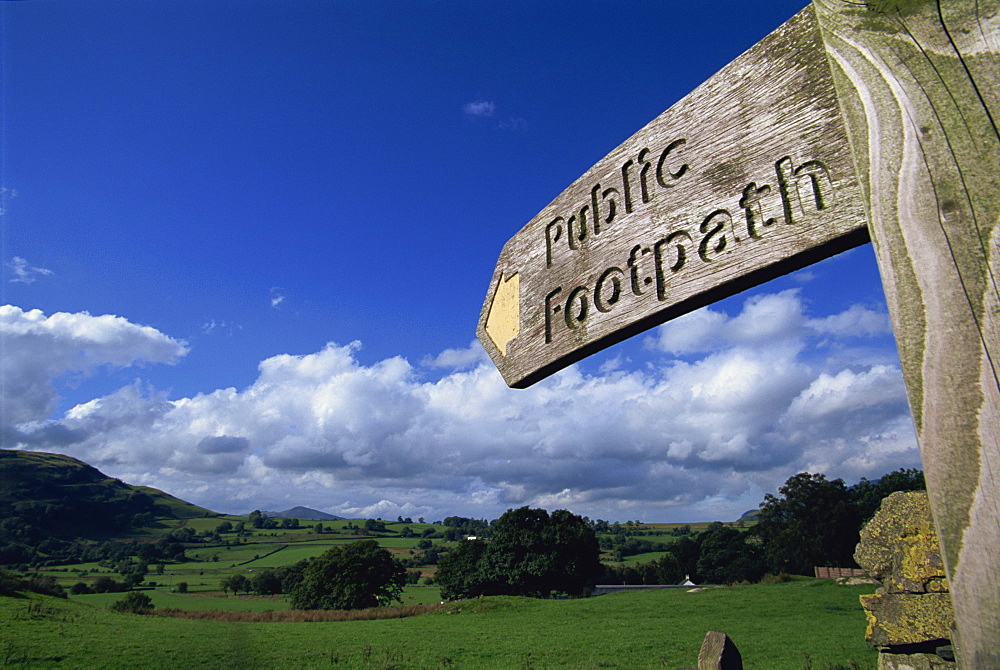 Footpath signs, Naddle Valley, Lake District, Cumbria, England, United Kingdom, Europe