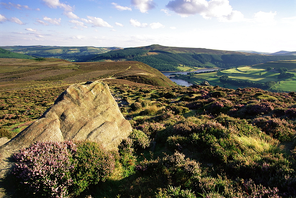 Whinstone Lee Tor and Derwent Moors, Derwent Edge, Peak District National Park, Derbyshire, England, United Kingdom, Europe