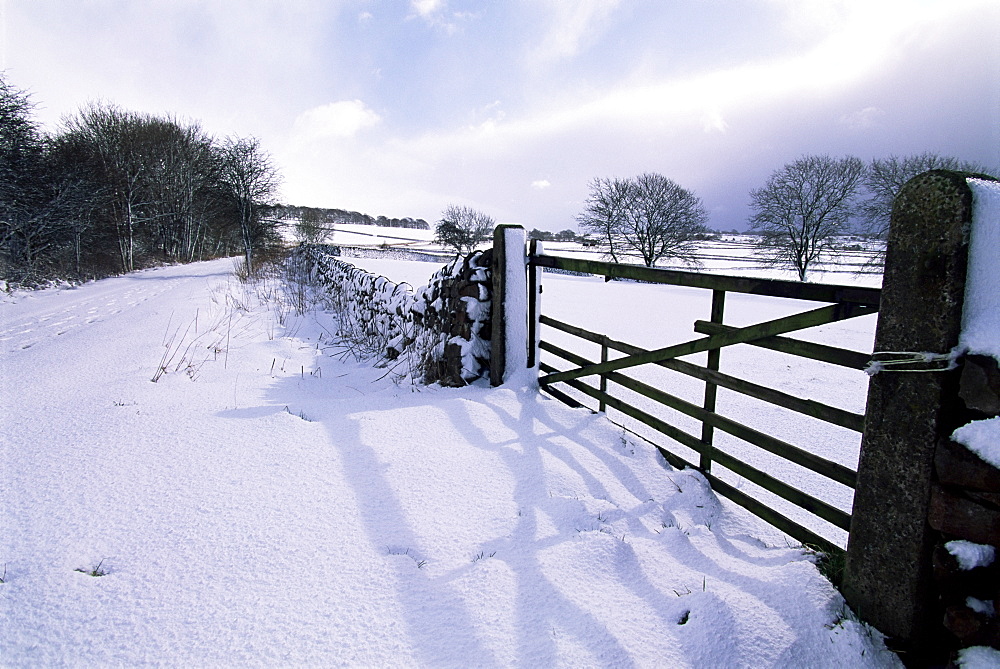 Snow on Tissington Trail, Hartington, Derbyshire, England, United Kingdom, Europe