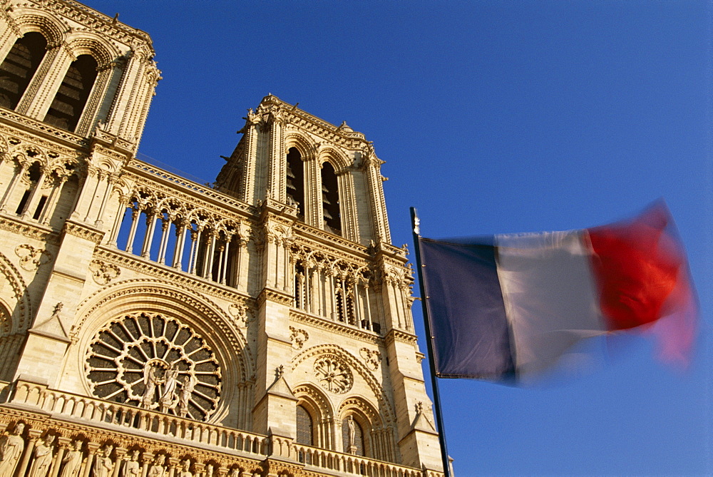 French flag and Notre Dame de Paris, Christian cathedral, Ile de la Cite, Paris, France, Europe