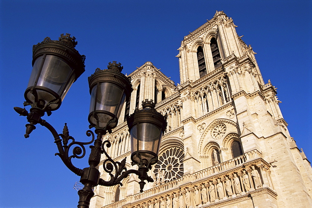 Notre Dame de Paris, Ile de la Cite, Paris, France, Europe