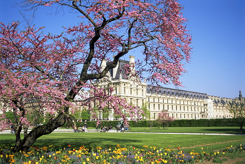 Jardin des Tuileries and Musee du Louvre, Paris, France, Europe