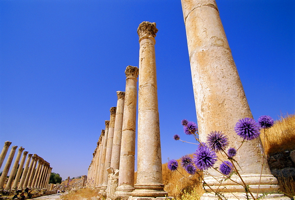 Columns of the Cardo, Jarash, Jordan, Middle East