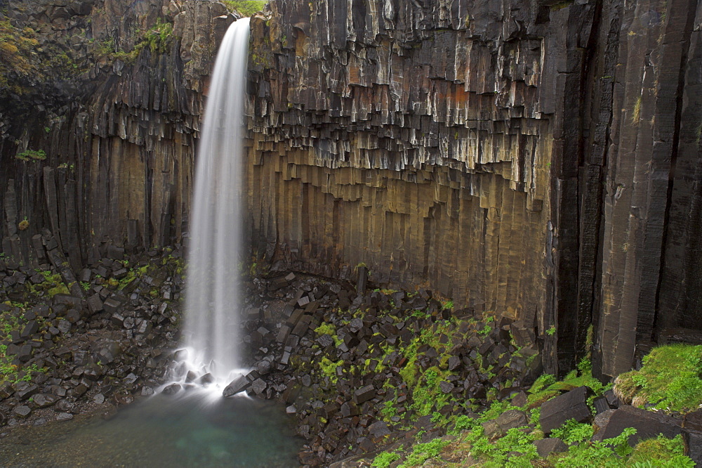 Svartifoss waterfall with basalt columns in Skaftafell National Park, South area, Iceland, Polar Regions