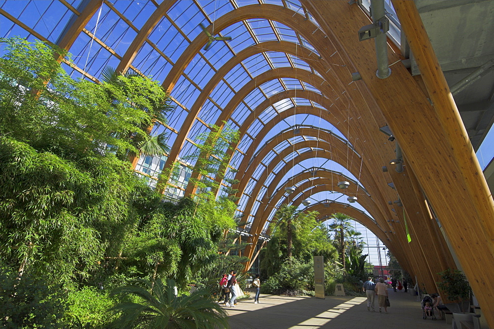 Millennium Winter Gardens, Sheffield, Yorkshire, England, United Kingdom, Europe