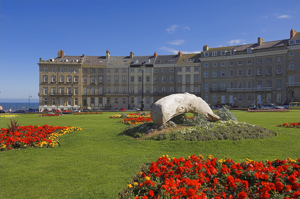 Flower beds at the Royal Crescent, Seafront, Whitby, North Yorkshire, Yorkshire, England, United Kingdom, Europe