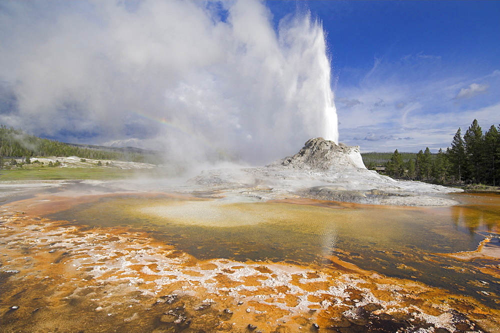 Castle Geyser erupting, Upper Geyser Basin, Yellowstone National Park, UNESCO World Heritage Site, Wyoming, United States of America, North America