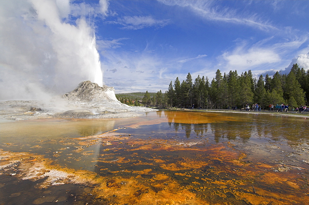 Eruption of Castle Geyser, Upper Geyser Basin, Yellowstone National Park, UNESCO World Heritage Site, Wyoming, United States of America, North America