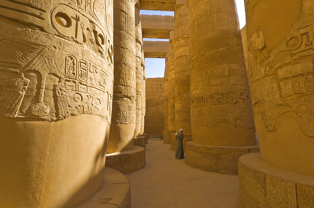 Hieroglyphics on great columns in the Temple of Karnak near Luxor, Thebes, UNESCO World Heritage Site, Egypt, North Africa, Africa