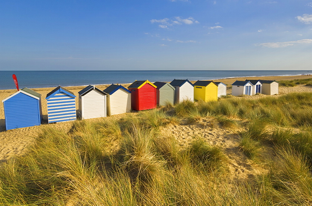 Brightly painted beach huts, rear view, in the afternoon sunshine below Gun Hill, Southwold, Suffolk, England, United Kingdom, Europe