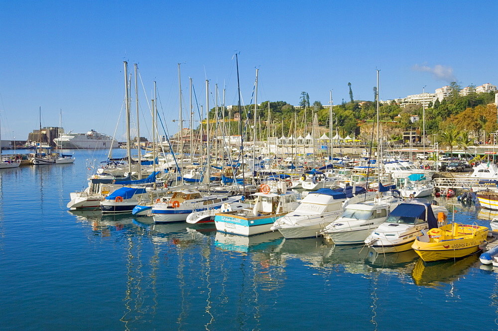 Cruise ships and yachts in the harbour at Funchal, Madeira, Portugal, Atlantic, Europe